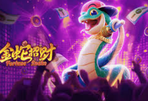 星空全站桌面版客户端