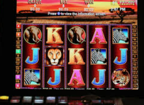 星空全站桌面版客户端