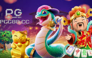 星空全站电脑免费版